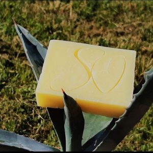 savon-aloe vera-à froid-bio-artisanal